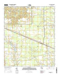 Pine Grove Georgia Current topographic map, 1:24000 scale, 7.5 X 7.5 Minute, Year 2014