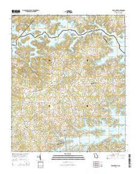 Reed Creek Georgia Current topographic map, 1:24000 scale, 7.5 X 7.5 Minute, Year 2014