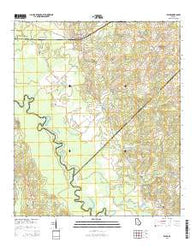 Rhine Georgia Current topographic map, 1:24000 scale, 7.5 X 7.5 Minute, Year 2014