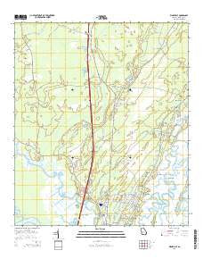 Ridgeville Georgia Current topographic map, 1:24000 scale, 7.5 X 7.5 Minute, Year 2014