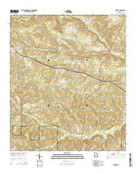 Rupert Georgia Current topographic map, 1:24000 scale, 7.5 X 7.5 Minute, Year 2014