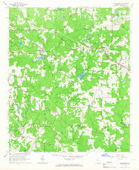 Sharpsburg Georgia Historical topographic map, 1:24000 scale, 7.5 X 7.5 Minute, Year 1965