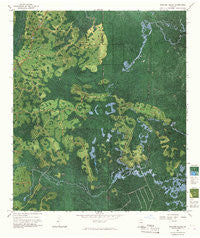 Strange Island Georgia Historical topographic map, 1:24000 scale, 7.5 X 7.5 Minute, Year 1967