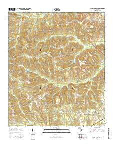 Stuckey Boone Lake Georgia Current topographic map, 1:24000 scale, 7.5 X 7.5 Minute, Year 2014