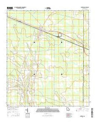 Surrency Georgia Current topographic map, 1:24000 scale, 7.5 X 7.5 Minute, Year 2014