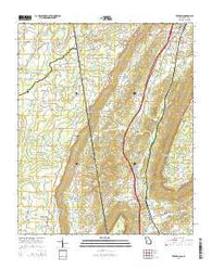 Trenton Georgia Current topographic map, 1:24000 scale, 7.5 X 7.5 Minute, Year 2014