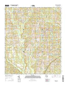 Twin City Georgia Current topographic map, 1:24000 scale, 7.5 X 7.5 Minute, Year 2014