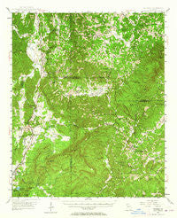 Waleska Georgia Historical topographic map, 1:62500 scale, 15 X 15 Minute, Year 1947