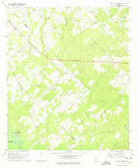West Of Eastman Georgia Historical topographic map, 1:24000 scale, 7.5 X 7.5 Minute, Year 1972