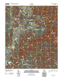 White East Georgia Historical topographic map, 1:24000 scale, 7.5 X 7.5 Minute, Year 2011