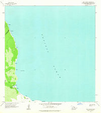 Keaau Ranch Hawaii Historical topographic map, 1:24000 scale, 7.5 X 7.5 Minute, Year 1963
