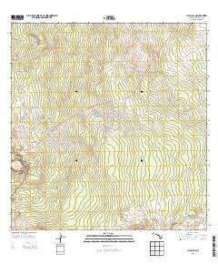 Volcano Hawaii Historical topographic map, 1:24000 scale, 7.5 X 7.5 Minute, Year 2013