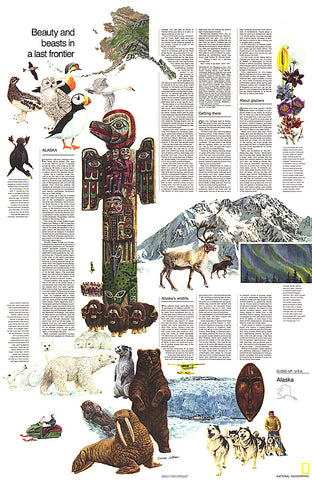 Buy map 1975 Close-up USA, Alaska Theme