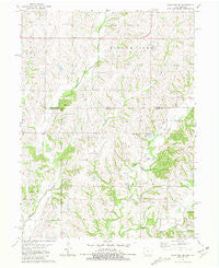 Blockton SE Missouri Historical topographic map, 1:24000 scale, 7.5 X 7.5 Minute, Year 1981