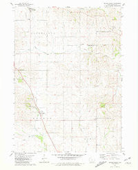 Delmar South Iowa Historical topographic map, 1:24000 scale, 7.5 X 7.5 Minute, Year 1980