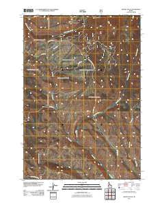 Advent Gulch Idaho Historical topographic map, 1:24000 scale, 7.5 X 7.5 Minute, Year 2011