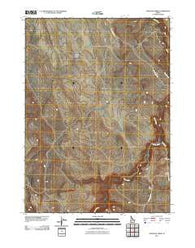 Antelope Creek Idaho Historical topographic map, 1:24000 scale, 7.5 X 7.5 Minute, Year 2010