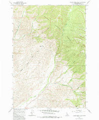 Badger Spring Gulch Idaho Historical topographic map, 1:24000 scale, 7.5 X 7.5 Minute, Year 1966