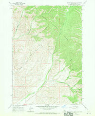 Badger Spring Gulch Idaho Historical topographic map, 1:24000 scale, 7.5 X 7.5 Minute, Year 1966