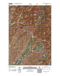 Badger Spring Gulch Idaho Historical topographic map, 1:24000 scale, 7.5 X 7.5 Minute, Year 2011
