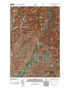 Badger Spring Gulch Idaho Historical topographic map, 1:24000 scale, 7.5 X 7.5 Minute, Year 2011