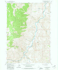 Bald Mountain Idaho Historical topographic map, 1:24000 scale, 7.5 X 7.5 Minute, Year 1963