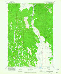 Bally Mountain Idaho Historical topographic map, 1:24000 scale, 7.5 X 7.5 Minute, Year 1963