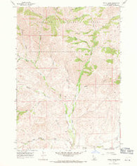 Baugh Creek Idaho Historical topographic map, 1:24000 scale, 7.5 X 7.5 Minute, Year 1967