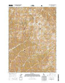Baugh Creek SW Idaho Current topographic map, 1:24000 scale, 7.5 X 7.5 Minute, Year 2013