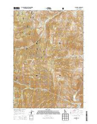Bayhorse Idaho Current topographic map, 1:24000 scale, 7.5 X 7.5 Minute, Year 2013