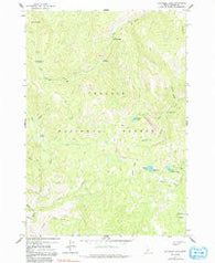 Bayhorse Lake Idaho Historical topographic map, 1:24000 scale, 7.5 X 7.5 Minute, Year 1963