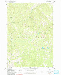 Bayhorse Lake Idaho Historical topographic map, 1:24000 scale, 7.5 X 7.5 Minute, Year 1963