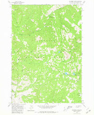 Bayhorse Lake Idaho Historical topographic map, 1:24000 scale, 7.5 X 7.5 Minute, Year 1963