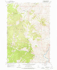 Bayhorse Idaho Historical topographic map, 1:24000 scale, 7.5 X 7.5 Minute, Year 1963
