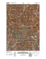Bayhorse Lake Idaho Historical topographic map, 1:24000 scale, 7.5 X 7.5 Minute, Year 2011