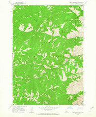 Bear Creek Point Idaho Historical topographic map, 1:24000 scale, 7.5 X 7.5 Minute, Year 1962