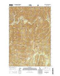 Bear Mountain Idaho Current topographic map, 1:24000 scale, 7.5 X 7.5 Minute, Year 2013