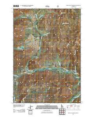 Bear Valley Mountain Idaho Historical topographic map, 1:24000 scale, 7.5 X 7.5 Minute, Year 2011
