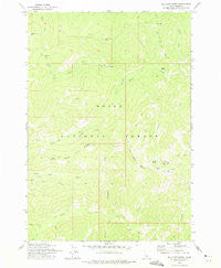 Big Chief Creek Idaho Historical topographic map, 1:24000 scale, 7.5 X 7.5 Minute, Year 1973