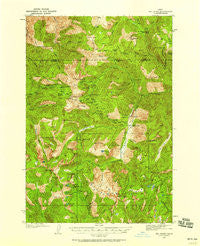 Big Creek Idaho Historical topographic map, 1:62500 scale, 15 X 15 Minute, Year 1937