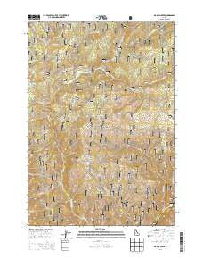 Big Owl Creek Idaho Current topographic map, 1:24000 scale, 7.5 X 7.5 Minute, Year 2013