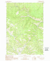 Blackbird Creek Idaho Historical topographic map, 1:24000 scale, 7.5 X 7.5 Minute, Year 1989