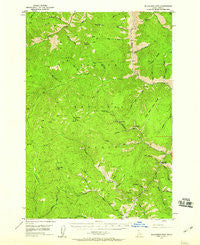 Blackbird Mtn Idaho Historical topographic map, 1:62500 scale, 15 X 15 Minute, Year 1950