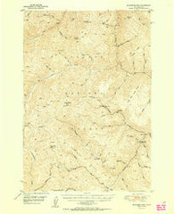 Blackbird Mtn Idaho Historical topographic map, 1:62500 scale, 15 X 15 Minute, Year 1951