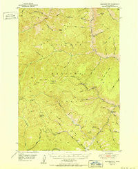 Blackbird Mtn Idaho Historical topographic map, 1:62500 scale, 15 X 15 Minute, Year 1951