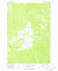 Blue Bunch Mtn Idaho Historical topographic map, 1:24000 scale, 7.5 X 7.5 Minute, Year 1972