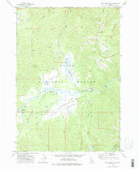 Blue Bunch Mtn Idaho Historical topographic map, 1:24000 scale, 7.5 X 7.5 Minute, Year 1972