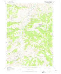 Bowery Creek Idaho Historical topographic map, 1:24000 scale, 7.5 X 7.5 Minute, Year 1963