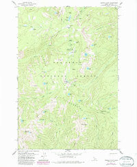 Buffalo Hump Idaho Historical topographic map, 1:24000 scale, 7.5 X 7.5 Minute, Year 1979