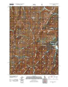 Bull Trout Point Idaho Historical topographic map, 1:24000 scale, 7.5 X 7.5 Minute, Year 2011